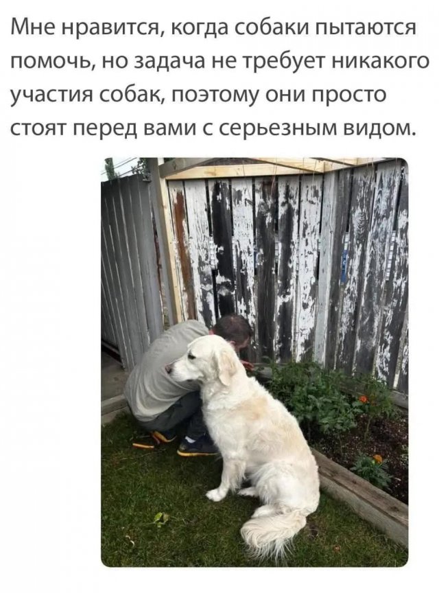 ������� ����