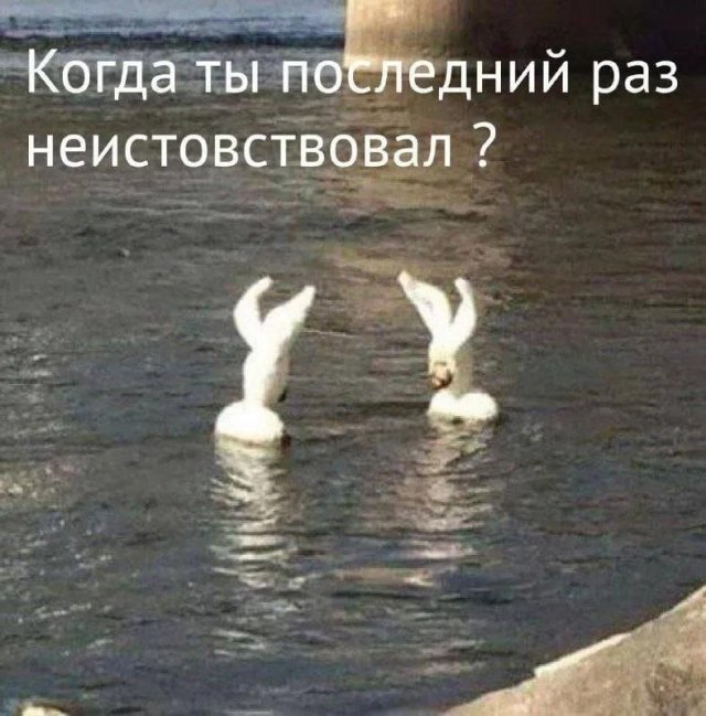 ������� ����
