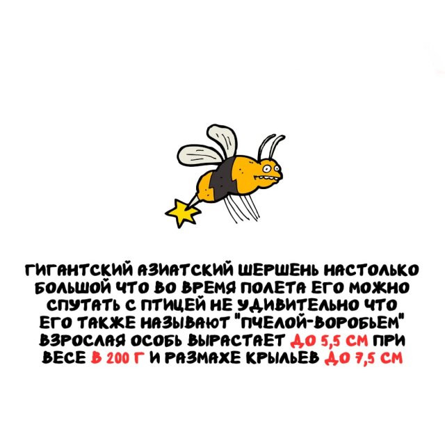 ���������� ����� �� ��� ������ �����