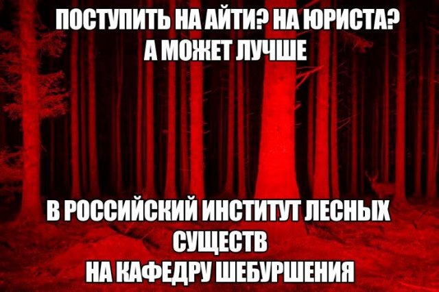 ������� ����