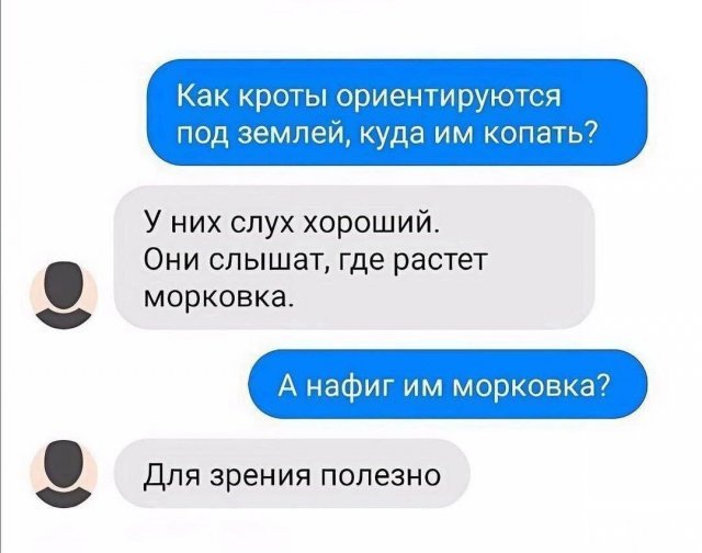 ������� ����