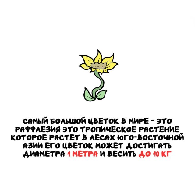 ���������� ����� �� ��� ������ �����
