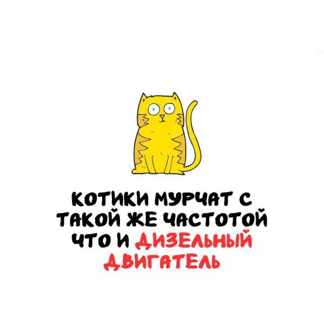 ���������� ����� �� ��� ������ �����
