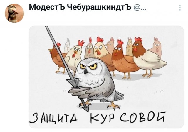 �������� �������� ������ ��� ����