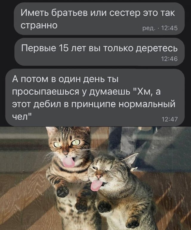 ������ ����� � ���� �� ���� ��� ������� � ������