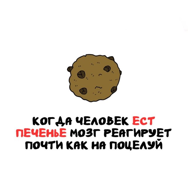 ���������� ����� �� ��� ������ �����