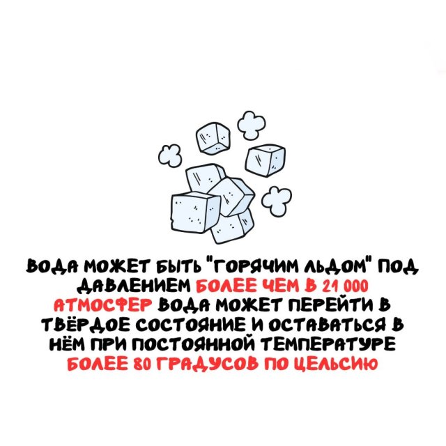 ���������� ����� �� ��� ������ �����