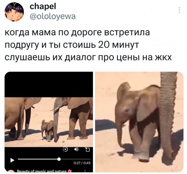 �������� �������� ������ ��� ����