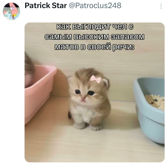 �������� �������� ������ ��� ����