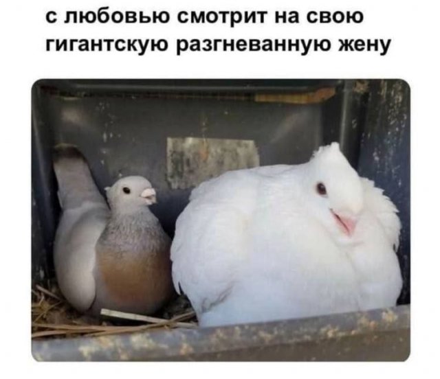 ������ ����� � ���� �� ����
