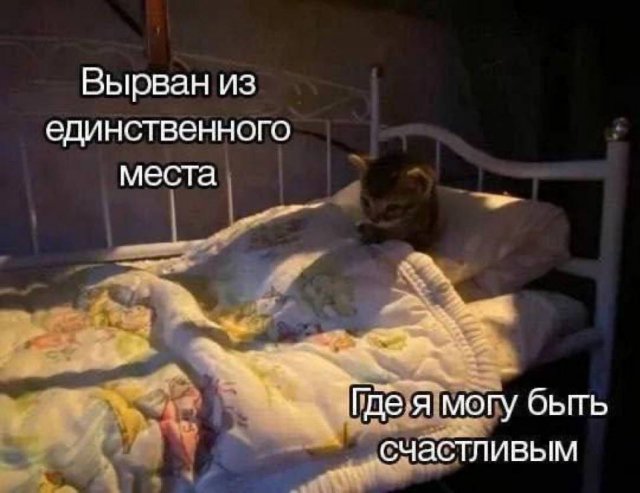 ������ ����� � ���� �� ����