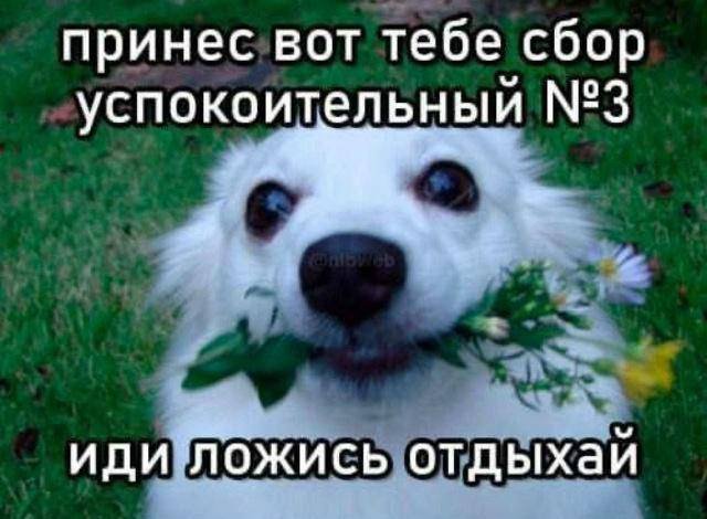 ������ ����� � ���� �� ����