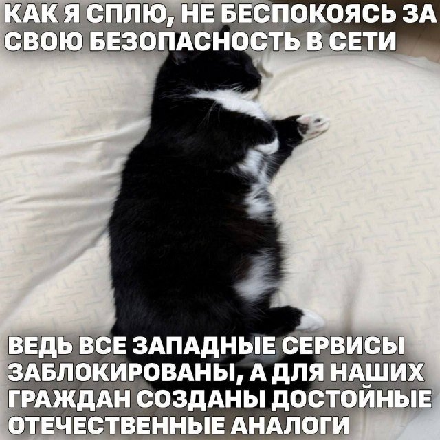 ������ ����� � ���� �� ����