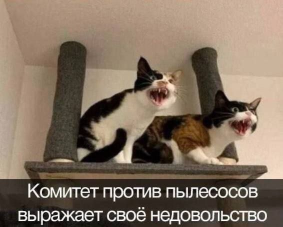 ������ ����� � ���� �� ����