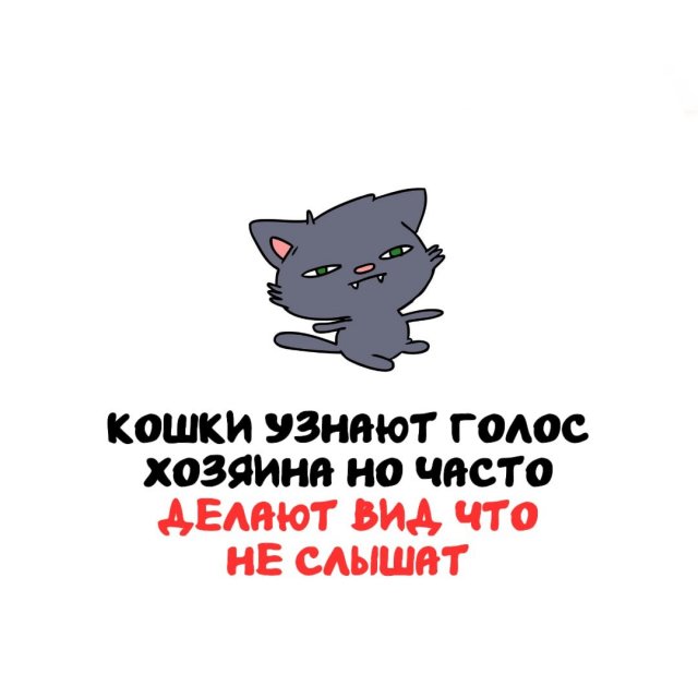 ���������� ����� �� ��� ������ �����