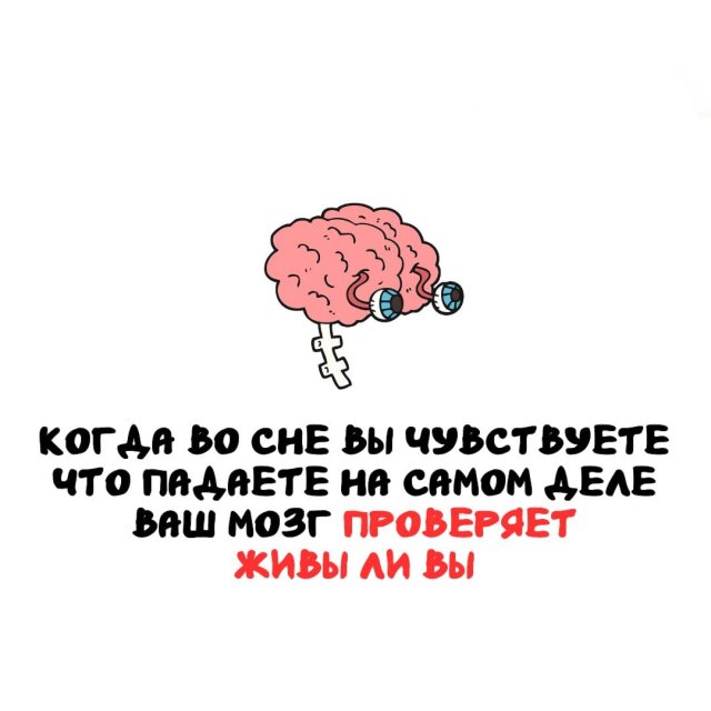 ���������� ����� �� ��� ������ �����