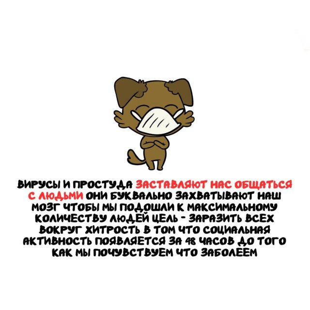 ���������� ����� �� ��� ������ �����