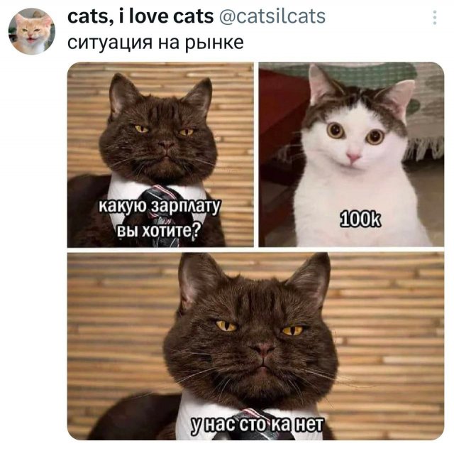�������� �������� ������ ��� ����