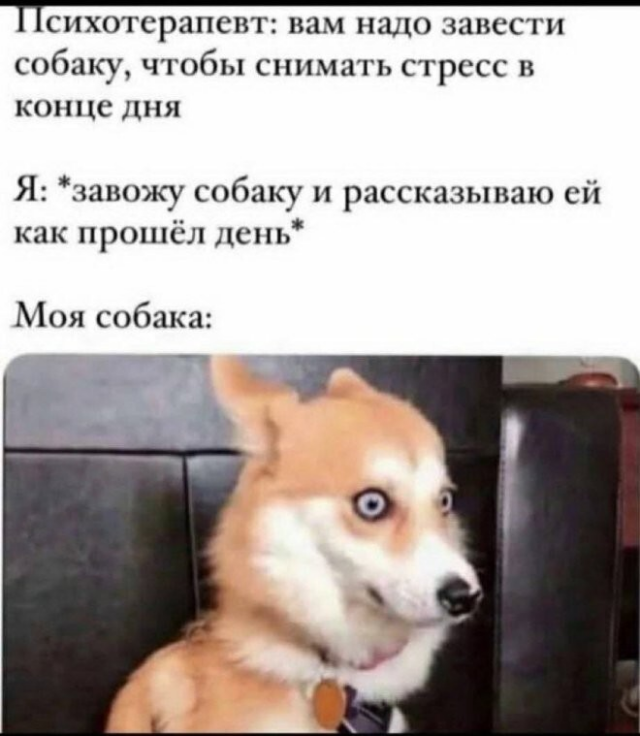 ������� ����� � ��������� ��������