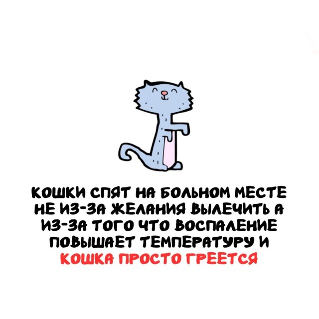 ���������� ����� �� ��� ������ �����