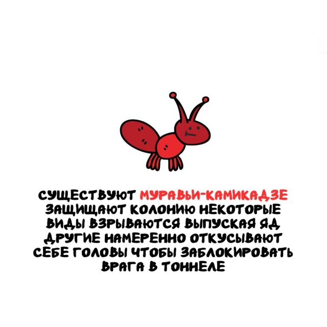 ���������� ����� �� ��� ������ �����