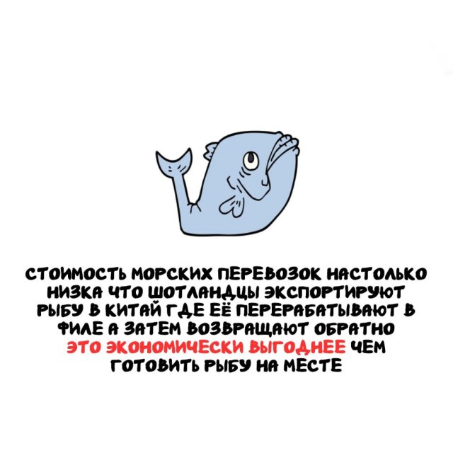 ���������� ����� �� ��� ������ �����