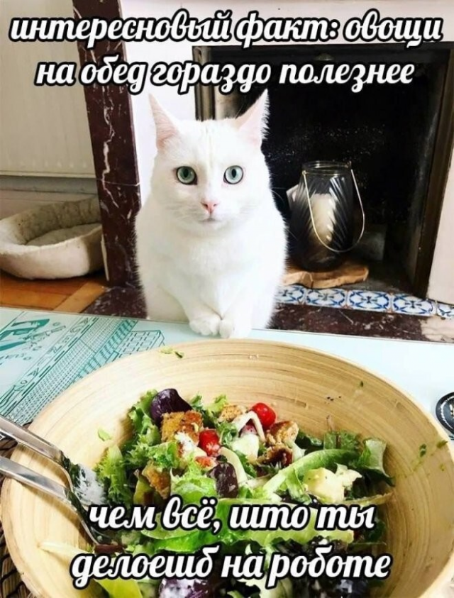 ������� ����� � ��������� ��������