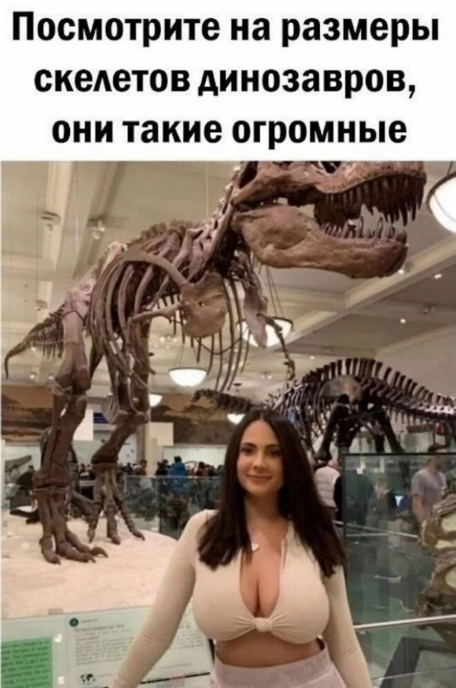 ������� ����� � ��������� ��������
