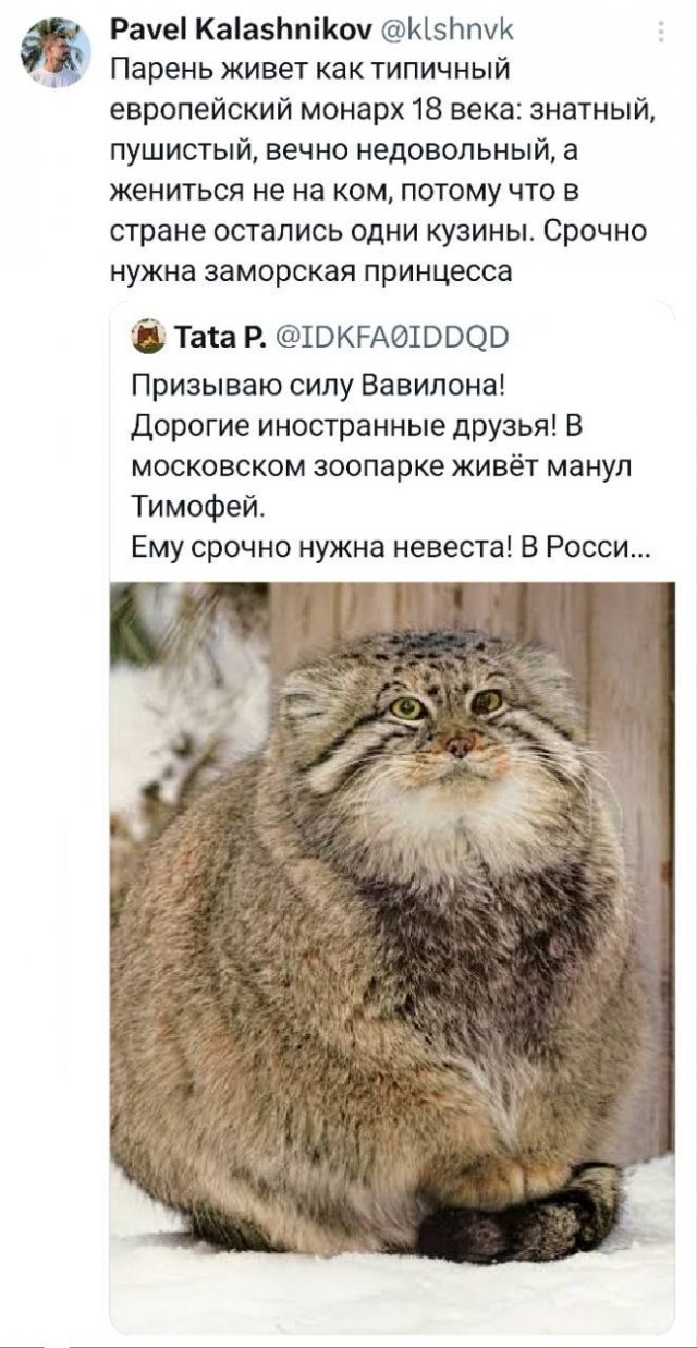 �������� �������� ������ ��� ����