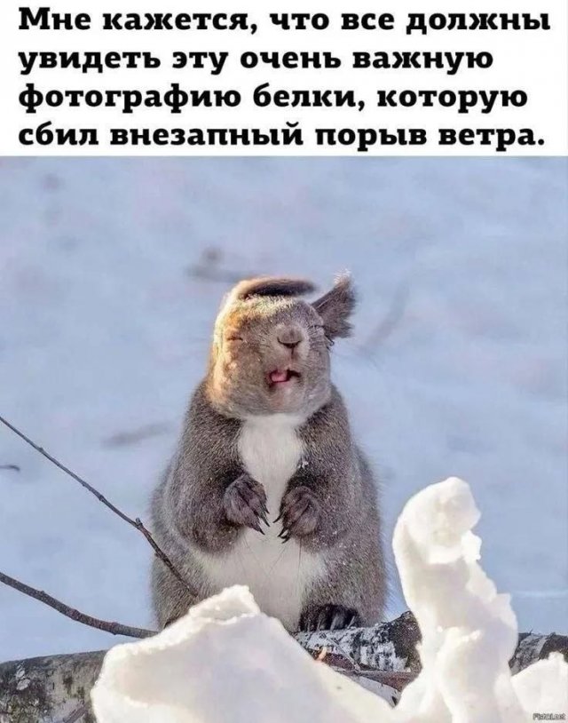 ������� ����