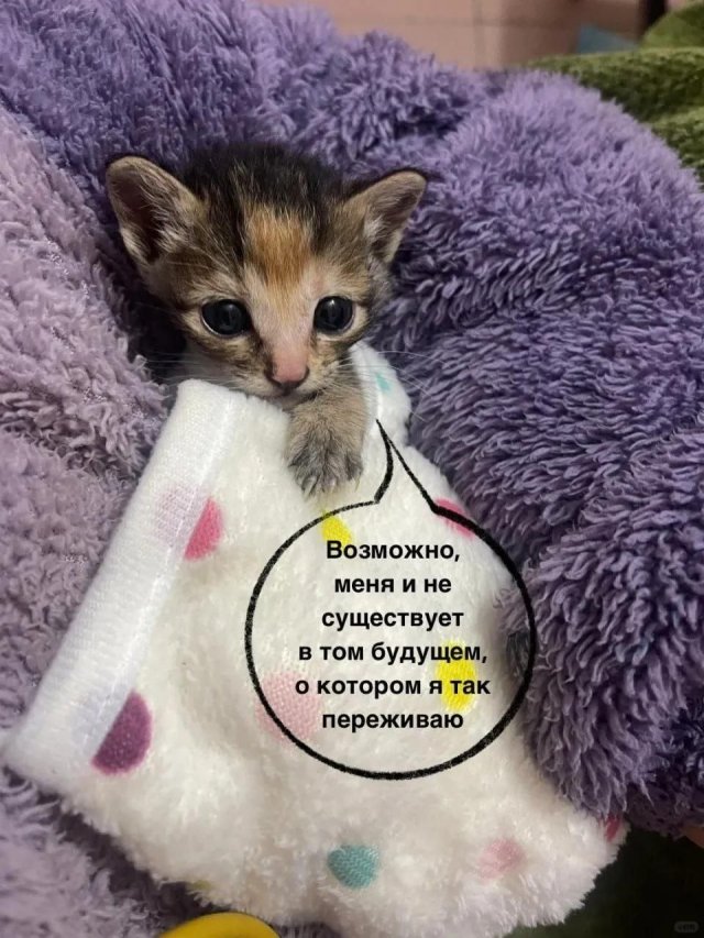 ������� ����