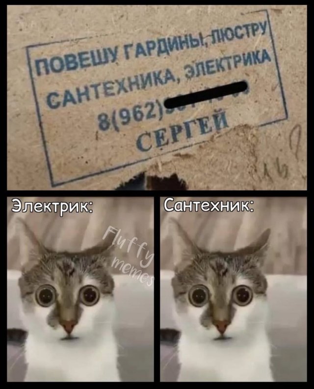 ������� ����
