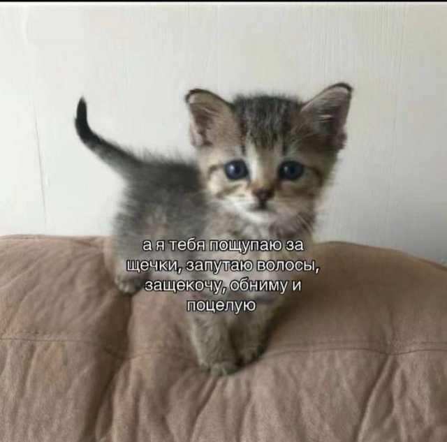 ������� ����