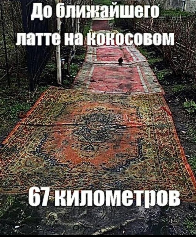 ������� ����