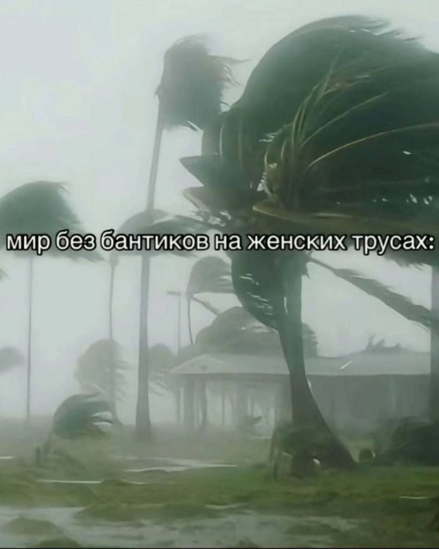 ����, ����� � ������� ��� "��� �����" 