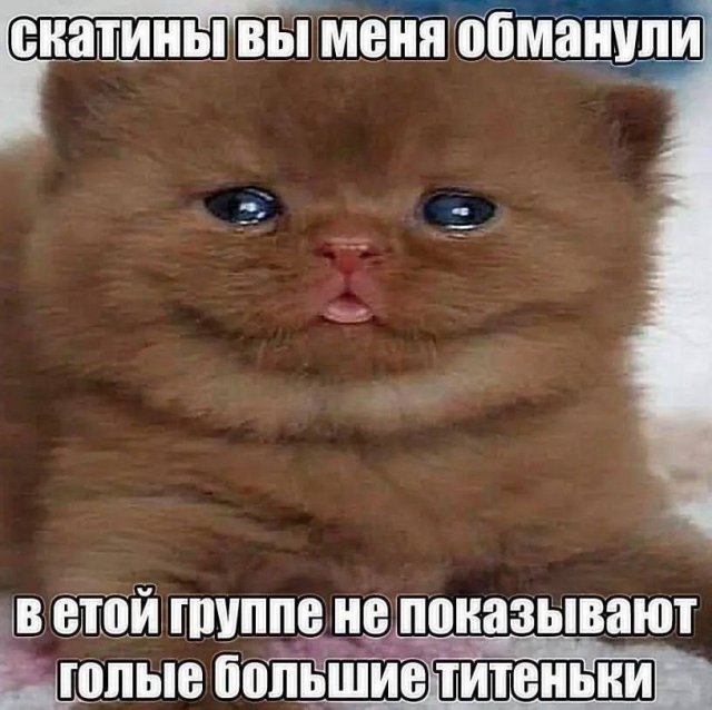 ����, ����� � ������� ��� "��� �����" 
