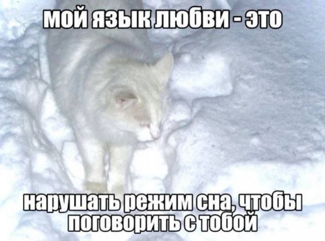 ����, ����� � ������� ��� "��� �����" 