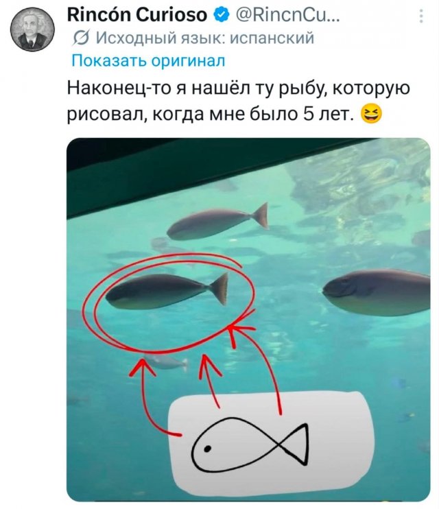�������� �������� ������ ��� ���� 