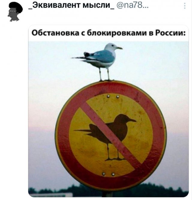 �������� �������� ������ ��� ���� 