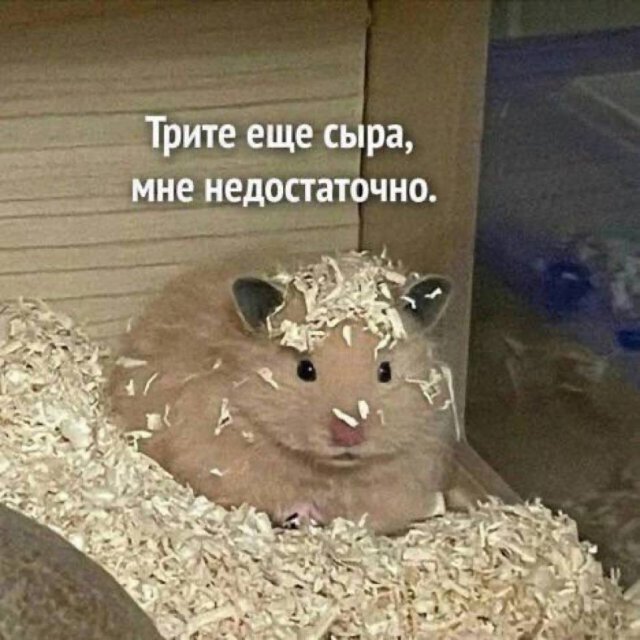 ������ ����� � ���� �� ����