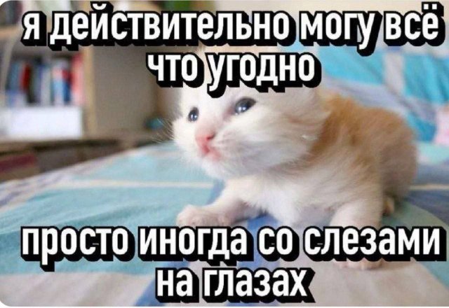 ������ ����� � ���� �� ����