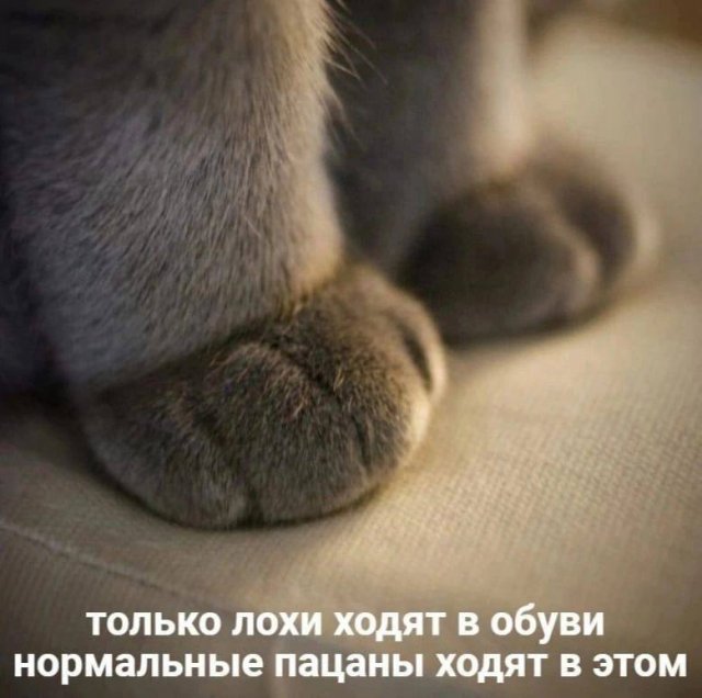 ������ ����� � ���� �� ����