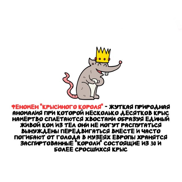 ���������� ����� �� ��� ������ �����