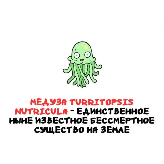 ���������� ����� �� ��� ������ �����