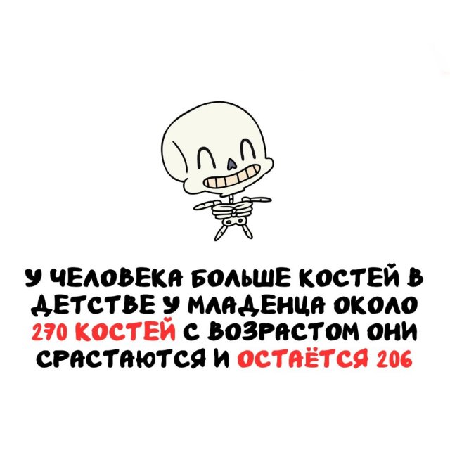 ���������� ����� �� ��� ������ �����