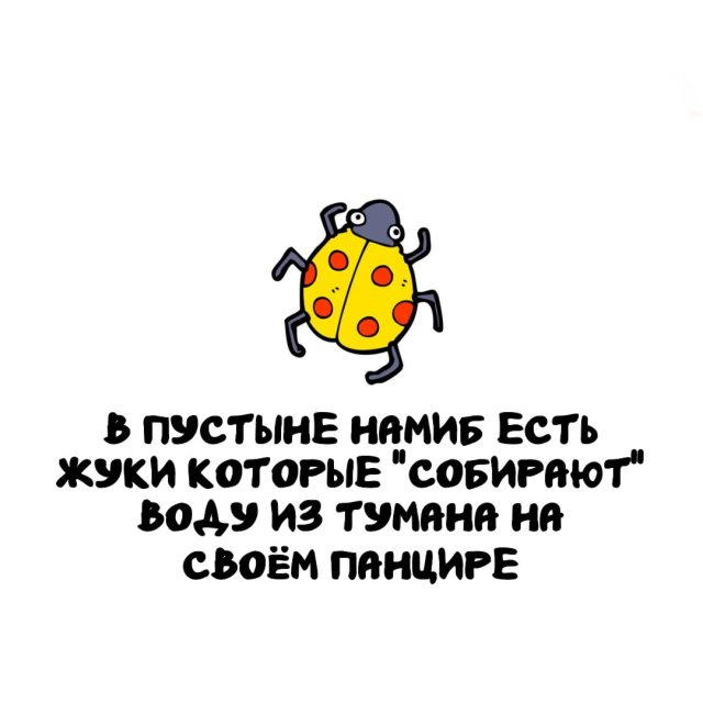 ���������� ����� �� ��� ������ �����