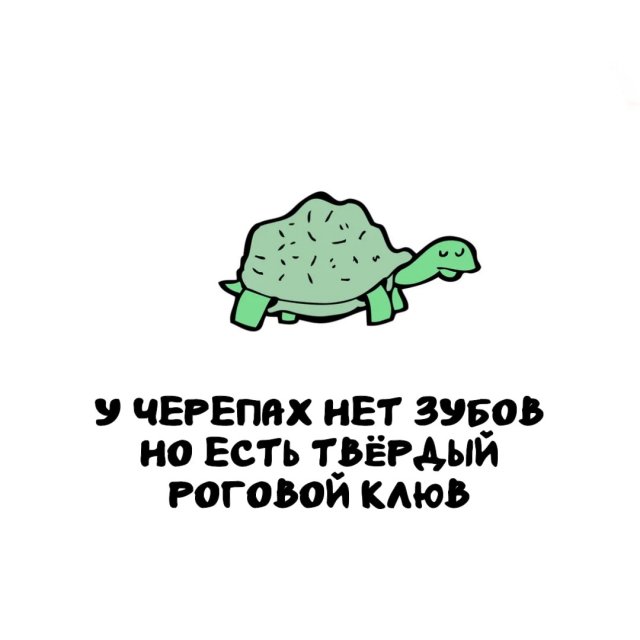 ���������� ����� �� ��� ������ �����