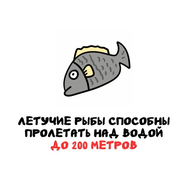 ���������� ����� �� ��� ������ �����