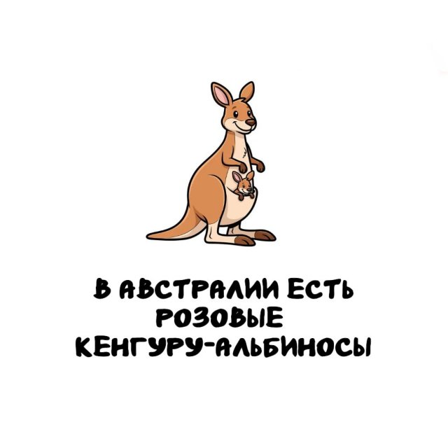 ���������� ����� �� ��� ������ �����