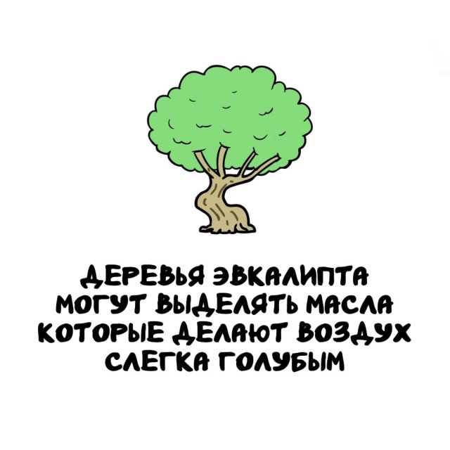 ���������� ����� �� ��� ������ �����